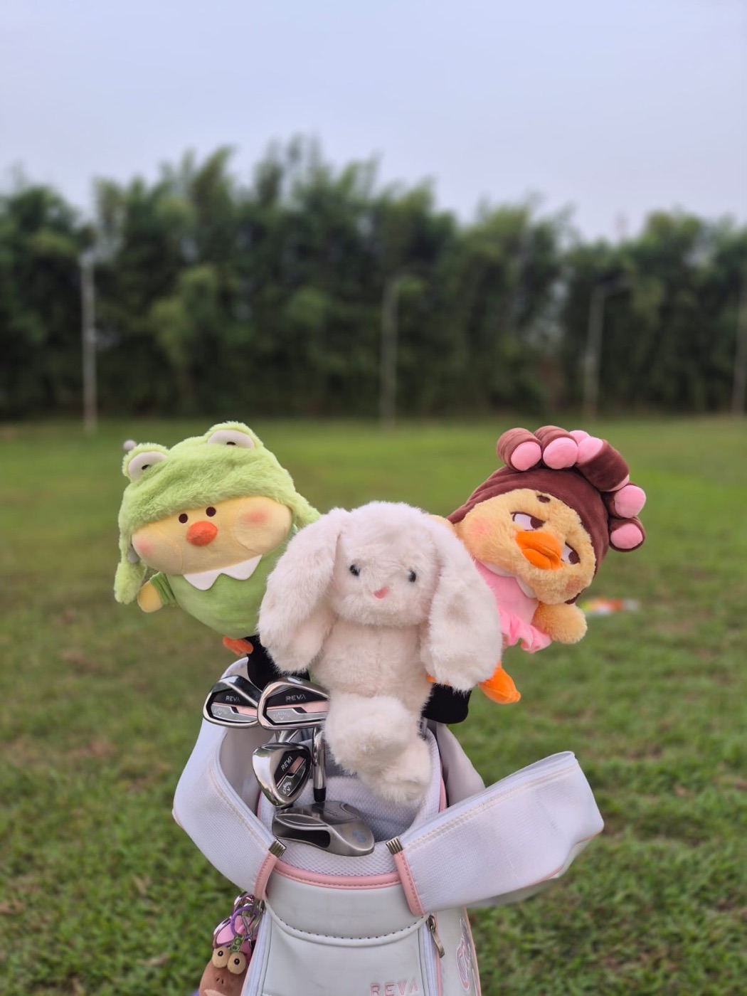 Tiga custom headcover golf plush di tas golf: bebek bertudung katak, kelinci, dan bebek pakai roll rambut