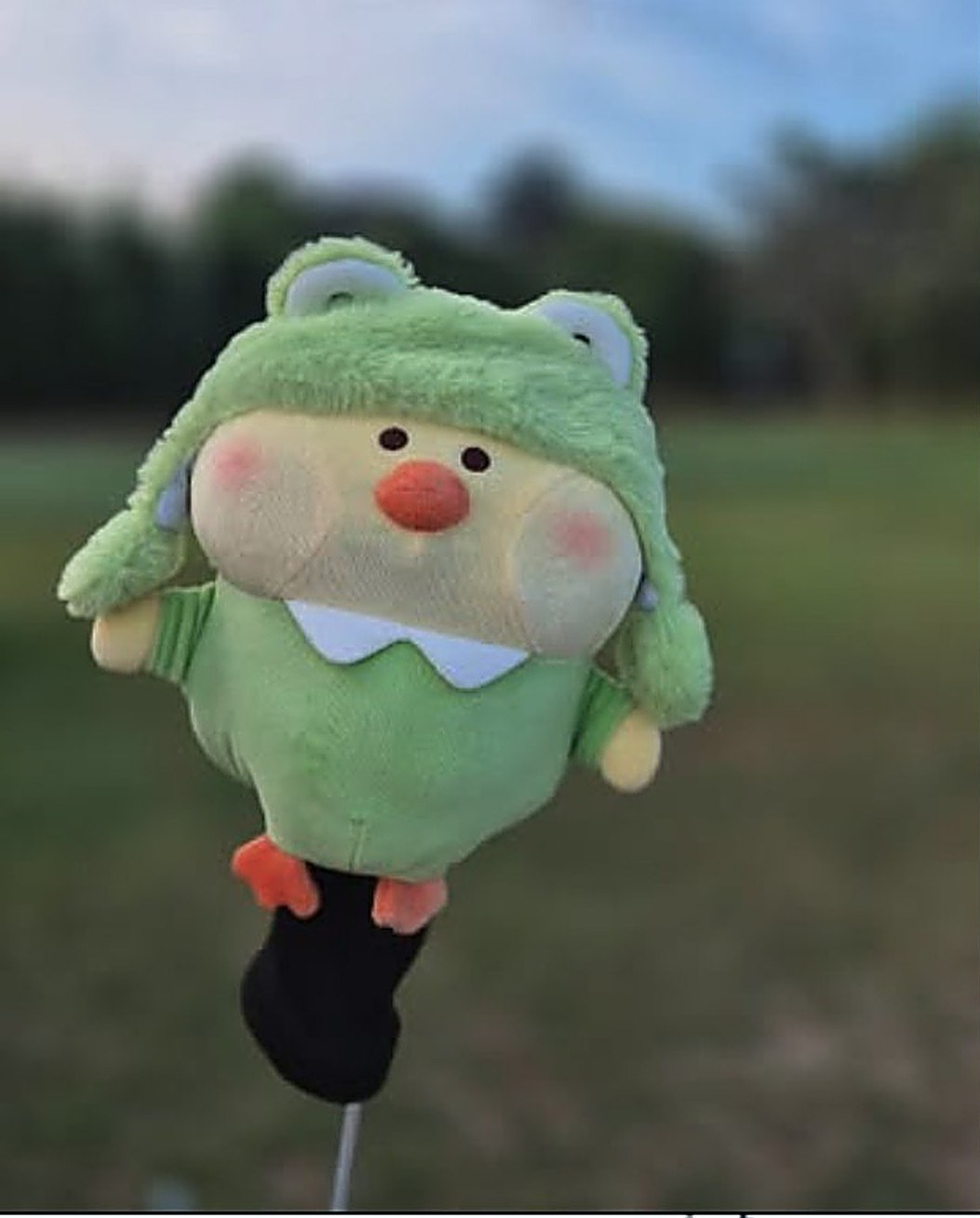 Froggychick, headcover golf custom dari boneka bebek bertudung katak